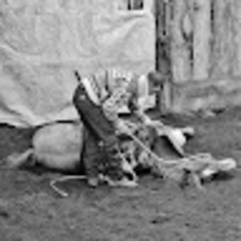 Meet your Posher, Tyler-kelli